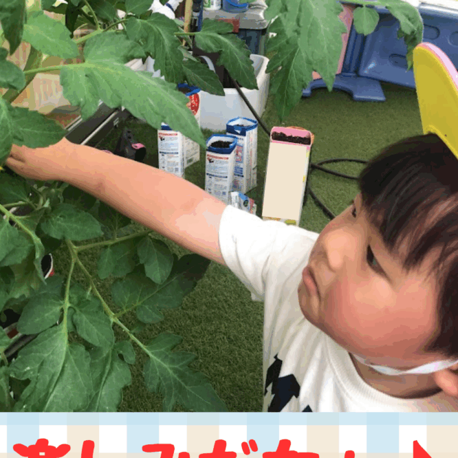 楽しみだなぁ♪